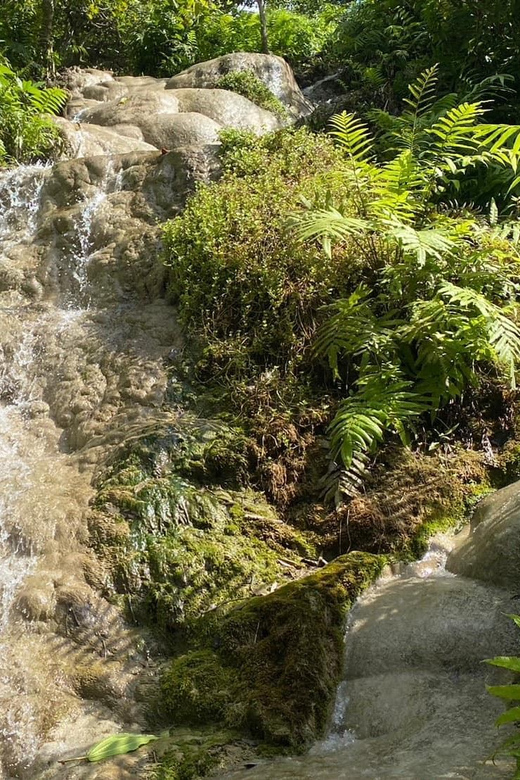 Chiang Mai Half Day Tour: Sticky Waterfall & Hotel Transfer - Is the $21 price good value?