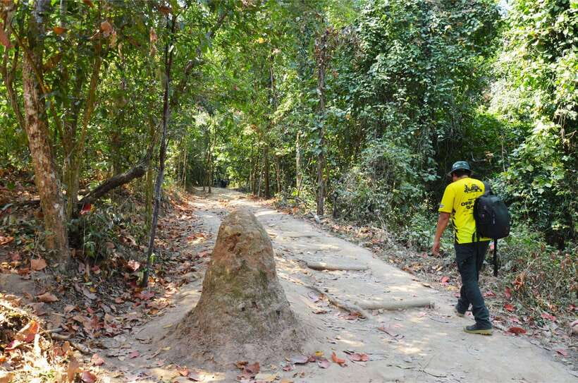 Chiang Mai: Hike on Monk’s Trail and Doi Suthep Private Tour - Riding higher to Wat Phra That Doi Suthep