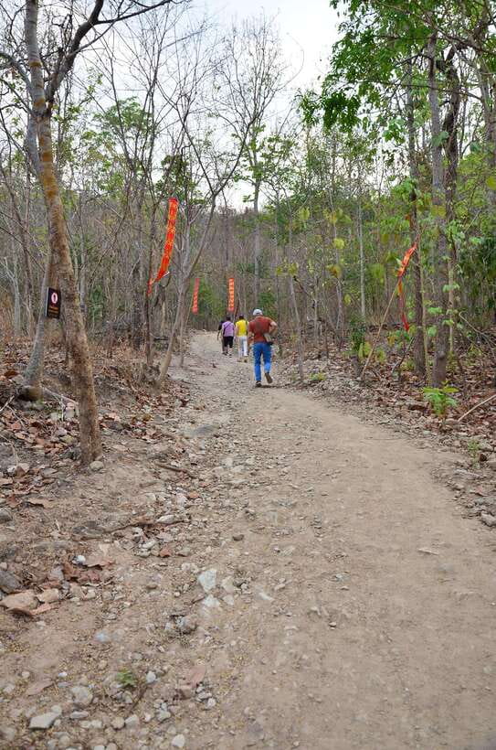 Chiang Mai: Hike on Monk’s Trail and Doi Suthep Private Tour - What the four-hour schedule feels like
