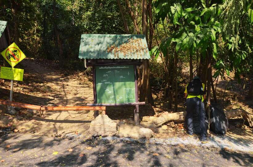 Chiang Mai: Hike on Monk’s Trail and Doi Suthep Private Tour - Guides, language, and the private format