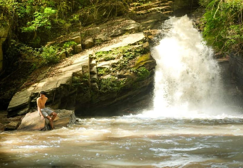 Chiang Mai: Jungle Jumbo Elephant Sanctuary with Waterfall - Key points at a glance