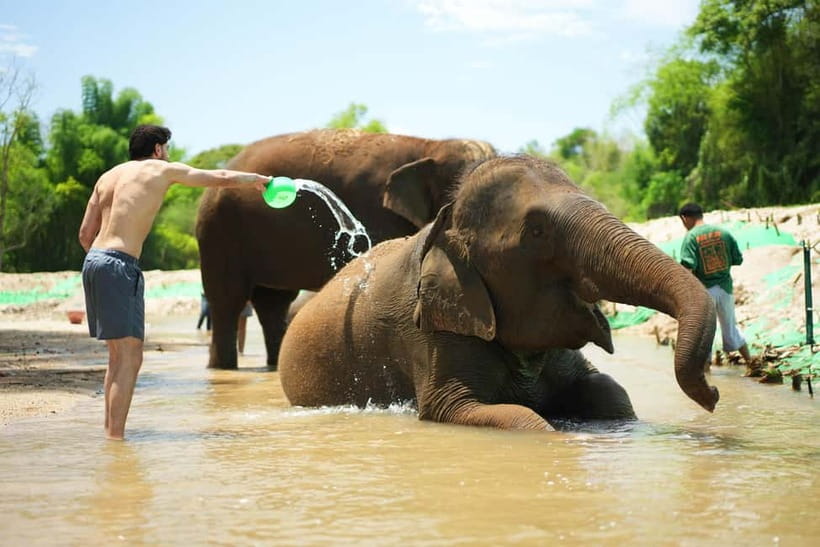 Chiang Mai: Jungle Jumbo Elephant Sanctuary with Waterfall - Walking through the jungle to the waterfall
