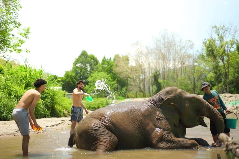 Chiang Mai: Jungle Jumbo Elephant Sanctuary with Waterfall - Choosing the right day and packing well