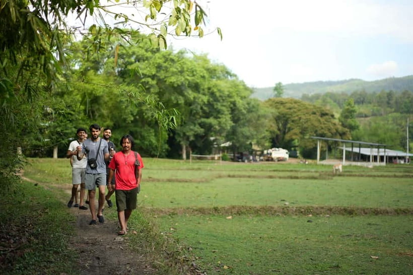 Chiang Mai: Jungle Jumbo Elephant Sanctuary with Waterfall - Who should book this Chiang Mai outing?