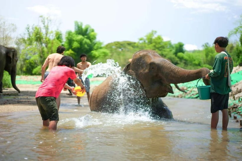 Chiang Mai: Jungle Jumbo Elephant Sanctuary with Waterfall - The village visit: culture, but not a long walk