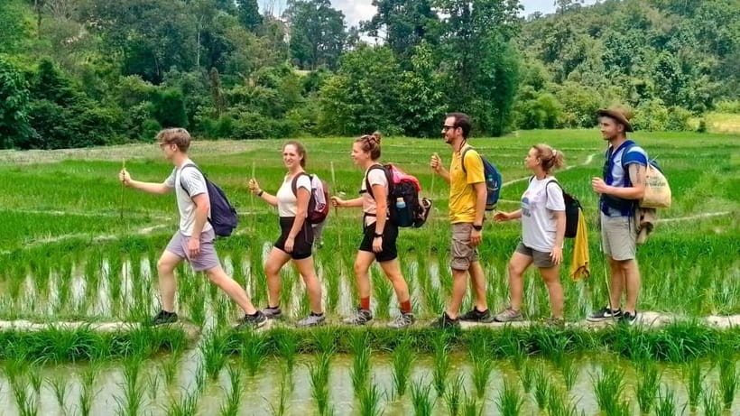 Chiang Mai: Jungle Trek, Elephants care & Bamboo Rafting - Key points to know before you book