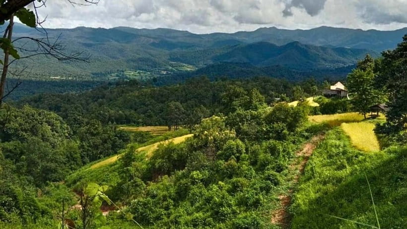Chiang Mai: Jungle Trek, Elephants care & Bamboo Rafting - What the $58 price really covers
