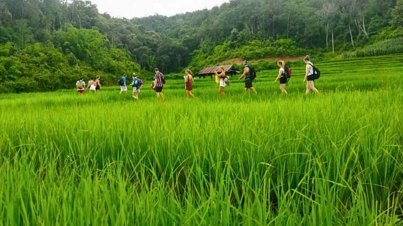 Chiang Mai: Jungle Trek, Elephants care & Bamboo Rafting - Packing for a wet, active day