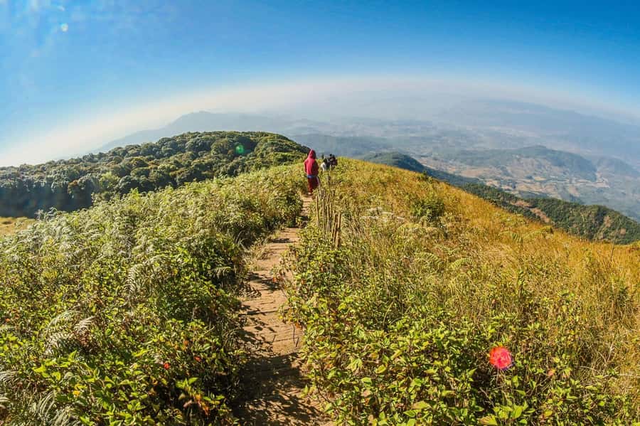 Chiang Mai: Kew Mae Pan Nature Trail & Doi Inthanon Day Trip - Reaching Thailand’s highest point