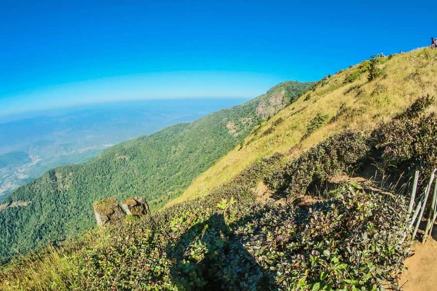 Chiang Mai: Kew Mae Pan Nature Trail & Doi Inthanon Day Trip - Wachirathan Waterfall as the finale