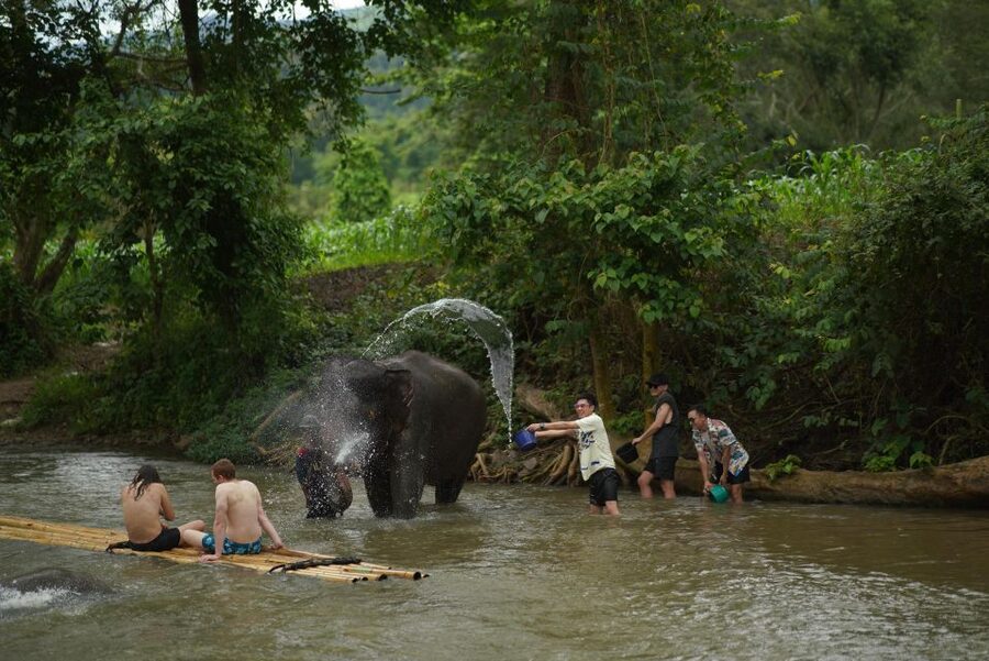 Chiang Mai: National Elephant Care, Rafting, & Ziplines Trip - Why the elephants are the heart of the day