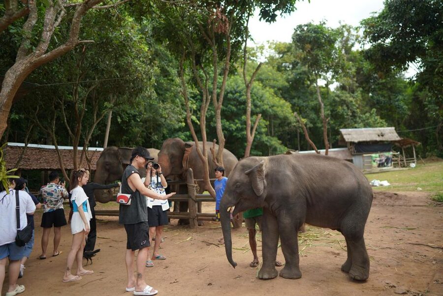 Chiang Mai: National Elephant Care, Rafting, & Ziplines Trip - The ride south from Chiang Mai