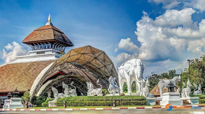 Chiang Mai Night Safari: Entry Ticket with Tram Ride - Key points to know before you go