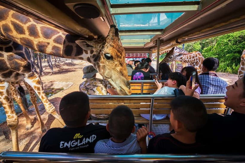 Chiang Mai Night Safari: Entry Ticket with Tram Ride - Jaguar Trail gives you a slower start