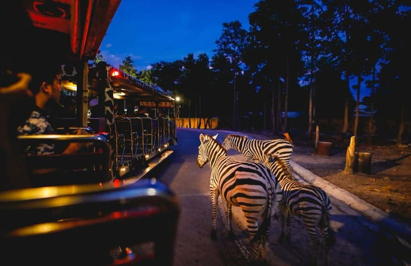 Chiang Mai Night Safari Ticket & Tram Rides Optional Pickup - Walking trails for a slower second look