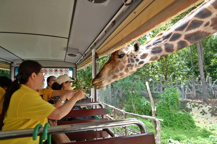 Chiang Mai Night Safari Ticket & Tram Rides Optional Pickup - Optional hotel pickup and meeting points