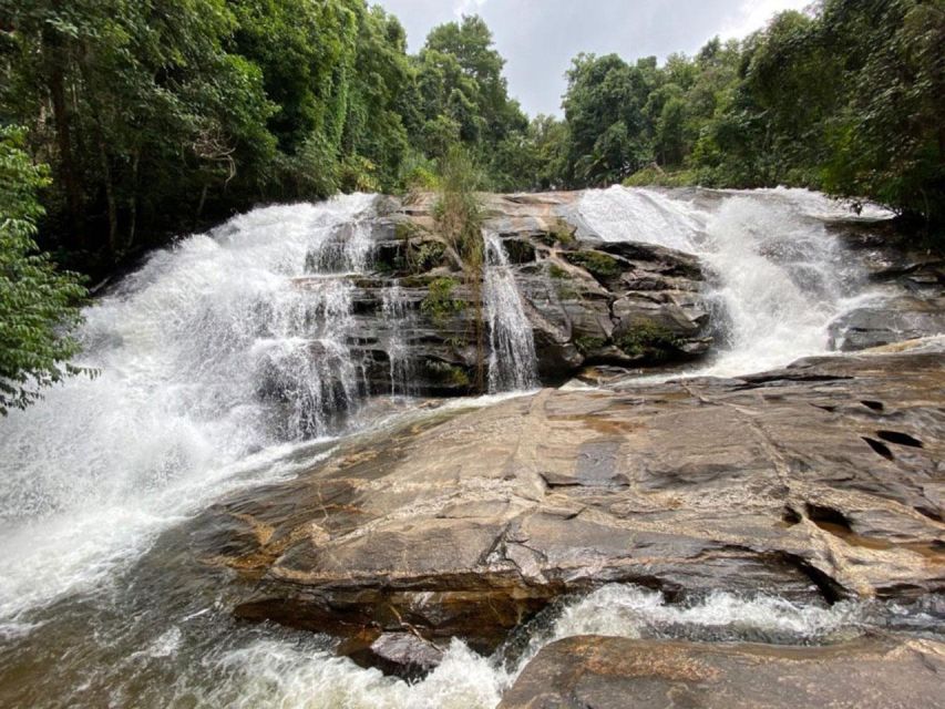 Chiang Mai: Pha Dok Siew Nature Trail & Doi Inthanon Trip - Key points to know before you book