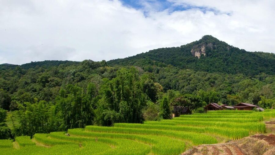 Chiang Mai: Pha Dok Siew Nature Trail & Doi Inthanon Trip - Reaching Thailand’s highest point at 2,565 meters