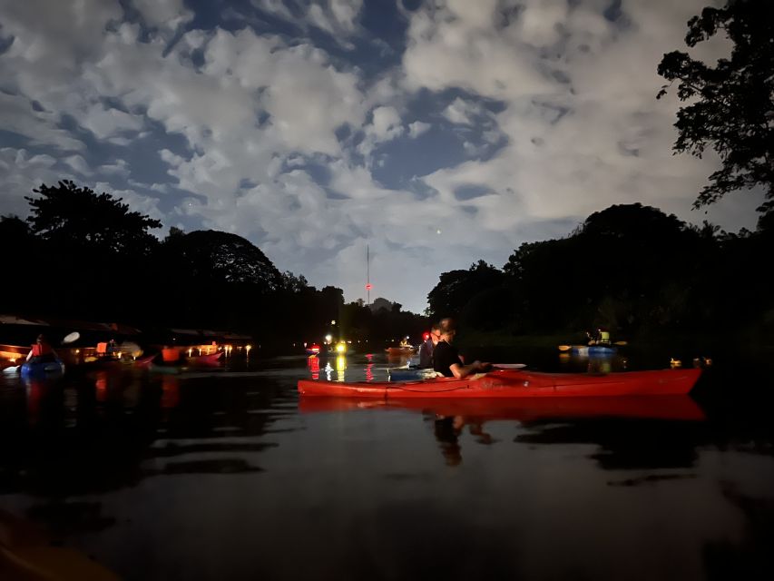 Chiang Mai: Ping River Night Kayaking into City Center - From dark riverbanks to Chiang Mai lights