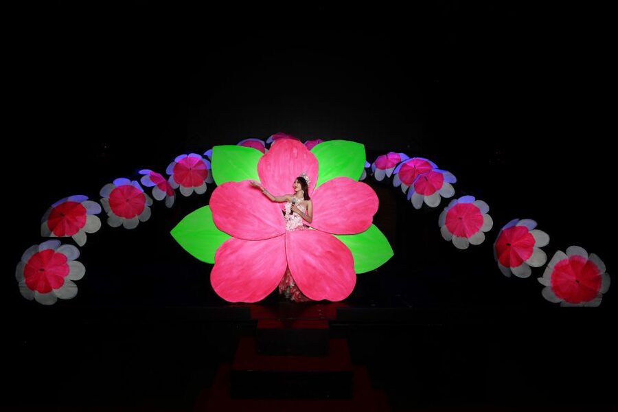 Chiang Mai: Siam Dragon Cabaret Show with Optional Transfer - What happens inside the 70-minute performance