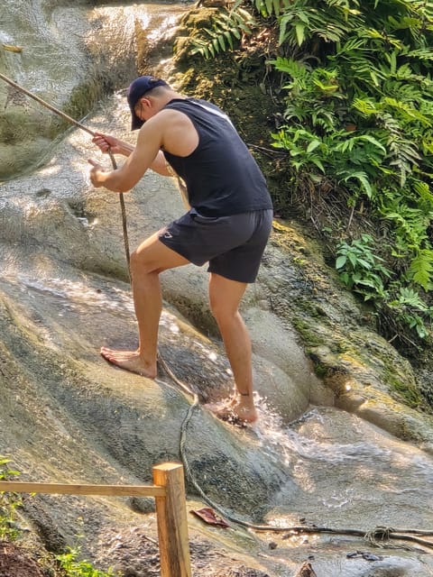 Chiang Mai:Sticky Watefall private tour with lunch - Why Bua Tong Waterfalls Is Worth the Trip