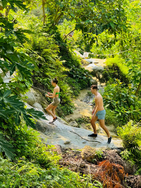 Chiang Mai:Sticky Watefall private tour with lunch - A Local Thai Lunch at 11:00 AM