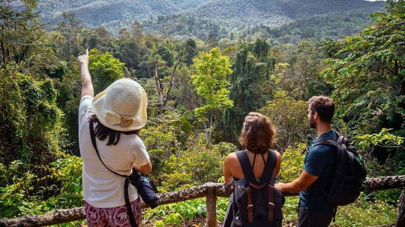 Chiang Mai: Sticky Waterfall, Chet Si Fountain Park Transfer - Why Bua Thong Waterfall Is Different