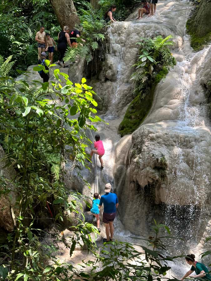 Chiang Mai : Sticky waterfall (Half Day Tour) Hotel Transfer - Key points at a glance