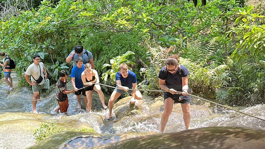 Chiang Mai : Sticky waterfall (Half Day Tour) Hotel Transfer - Two hours at Bua Tong Waterfall