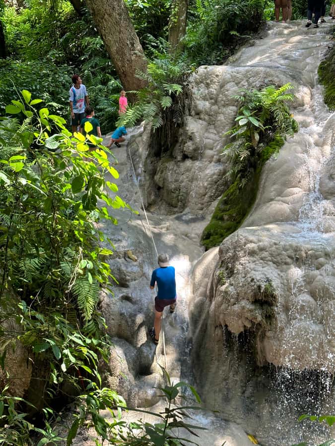 Chiang Mai : Sticky waterfall (Half Day Tour) Hotel Transfer - What the $19 price really covers