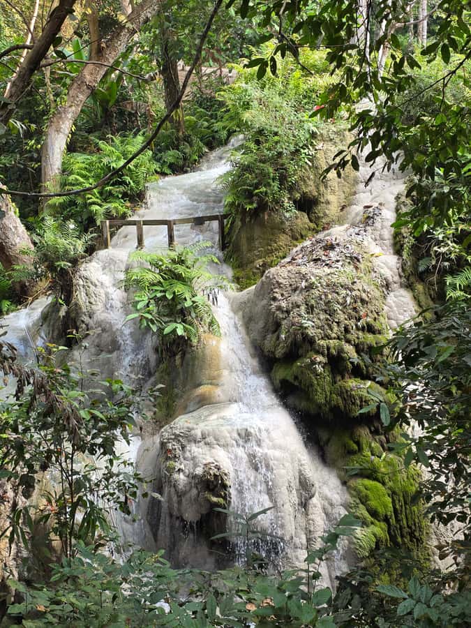 Chiang Mai : Sticky waterfall (Half Day Tour) Hotel Transfer - What to pack for a wet, active visit
