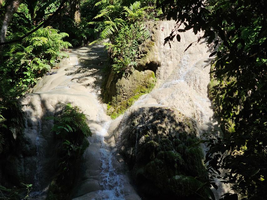 Chiang Mai: Sticky Waterfall Half-Day Tour & Hotel Transfers - Key points to know before you book