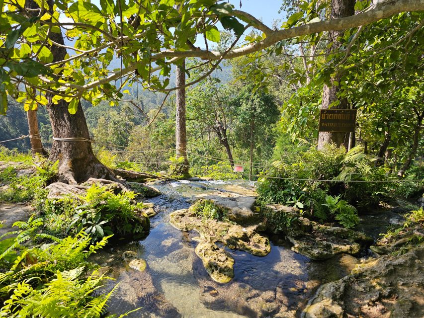 Chiang Mai: Sticky Waterfall Half-Day Tour & Hotel Transfers - Two hours at Bua Thong Waterfall