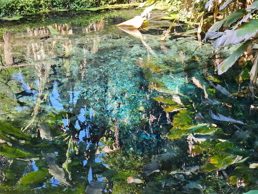 Chiang Mai: Sticky Waterfall Half-Day Tour & Hotel Transfers - Why the early morning departure is worth choosing