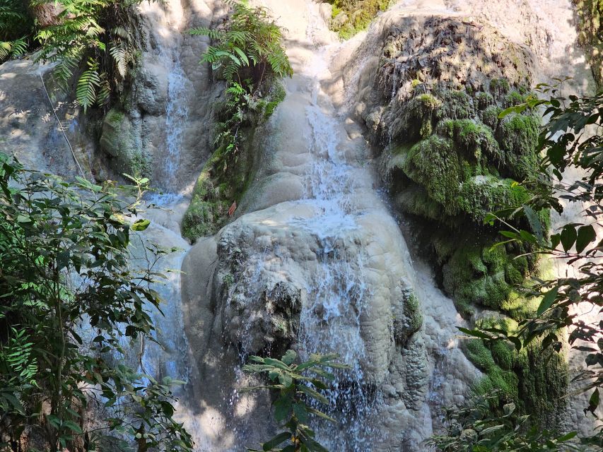 Chiang Mai: Sticky Waterfall Half-Day Tour & Hotel Transfers - Self-guided freedom, with a small tradeoff