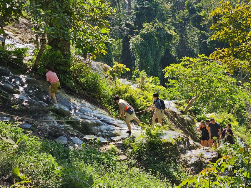 Chiang Mai: Sticky Waterfall Half-Day Tour & Hotel Transfers - Food, drinks, and what to pack