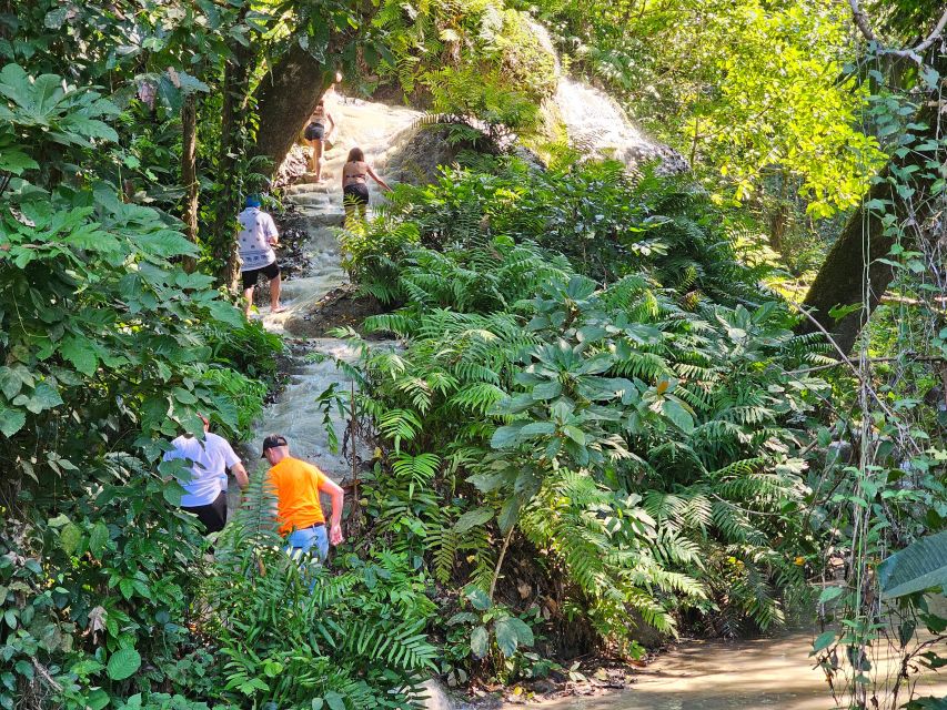 Chiang Mai: Sticky Waterfall Half-Day Tour & Hotel Transfers - Is the $30 price good value?