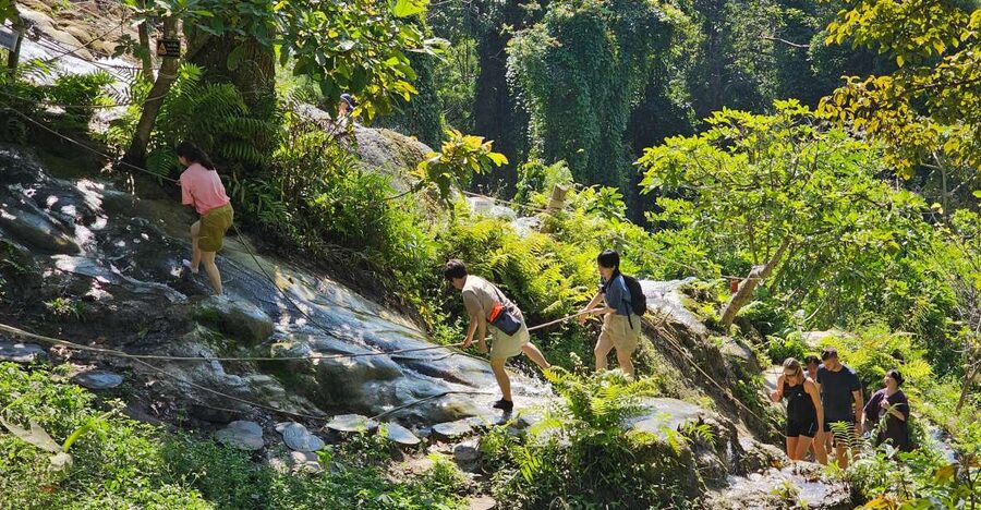 Chiang Mai: Sticky Waterfall Half-Day Tour & Hotel Transfers - Who will enjoy this half-day outing?