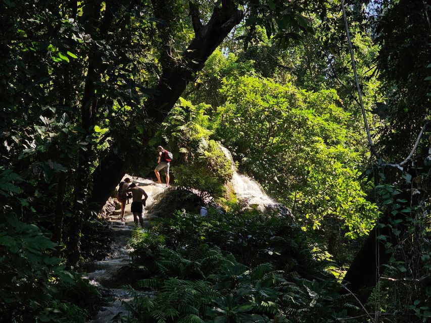 Chiang Mai: Sticky Waterfall Half-Day Tour & Hotel Transfers - The four-hour plan from downtown Chiang Mai