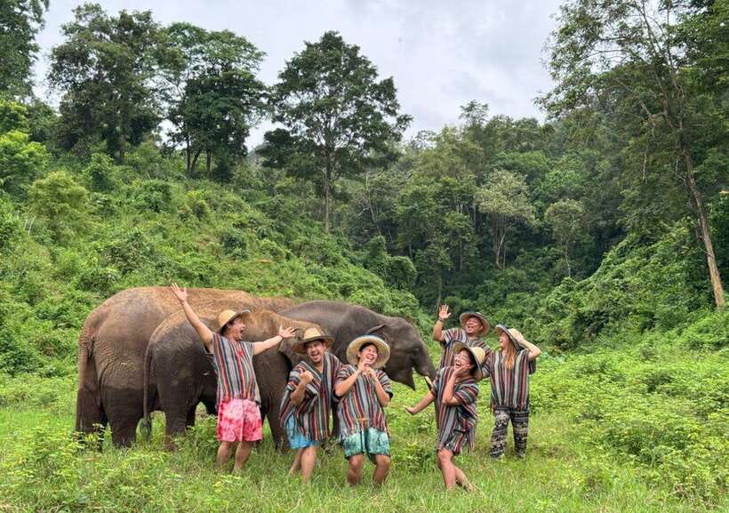 Chiang Mai | TeeTee Elephant Home Elephant Care Half-Day - Meeting Nam Chok and the older elephants
