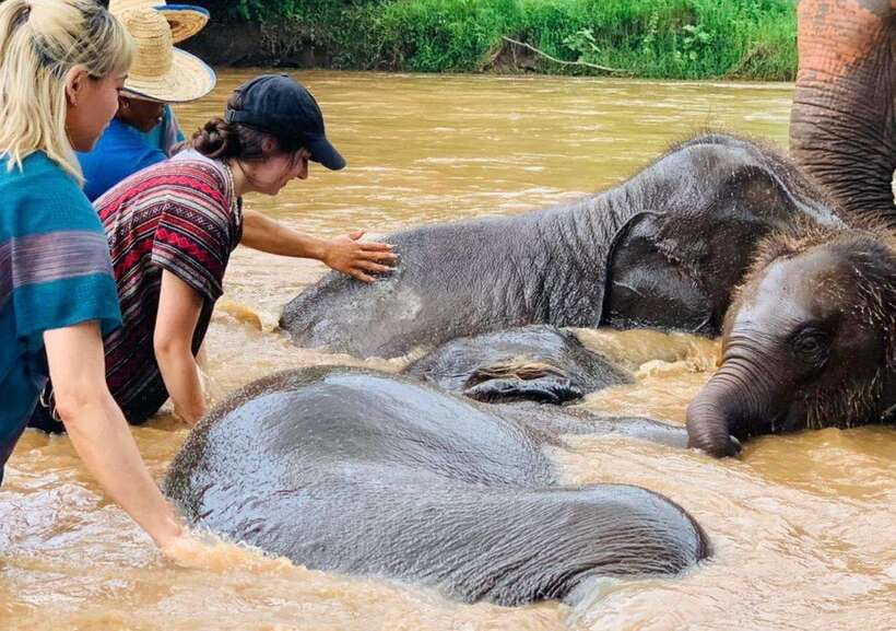 Chiang Mai | TeeTee Elephant Home Elephant Care Half-Day - The 1.5-hour ride from Chiang Mai