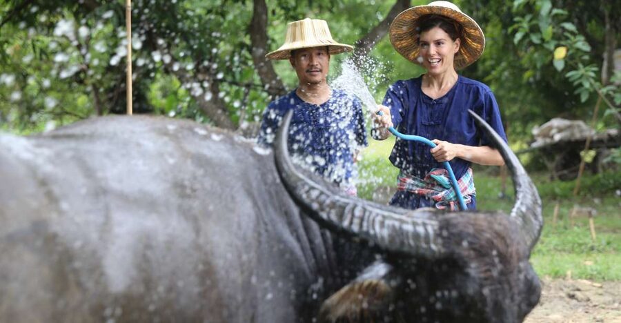 Chiang Mai: Thai Buffalo and Rice Planting Experience - Key points to know before you book