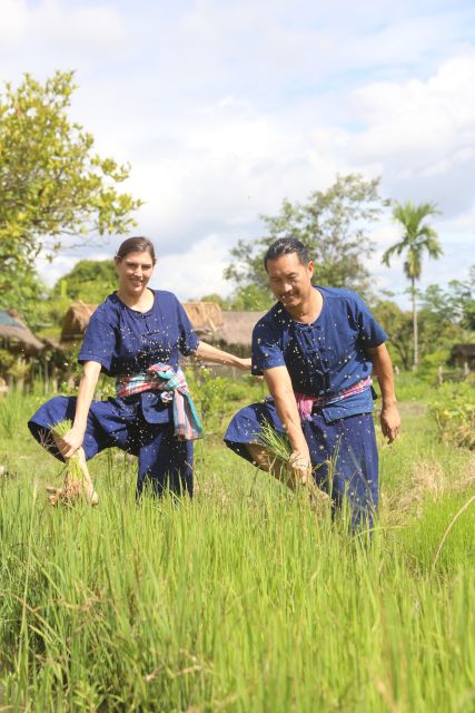 Chiang Mai: Thai Buffalo and Rice Planting Experience - Why this farm visit feels more hands-on than a normal excursion
