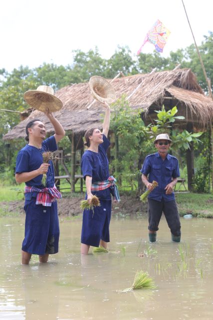 Chiang Mai: Thai Buffalo and Rice Planting Experience - Is $57 a fair price?