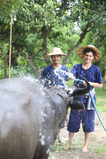 Chiang Mai: Thai Buffalo and Rice Planting Experience - Reaching Hang Tueng farm from Chiang Mai