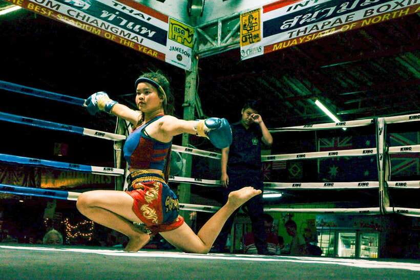 Chiang Mai: Thaphae Boxing Stadium Muay Thai - Understanding the action without knowing Muay Thai