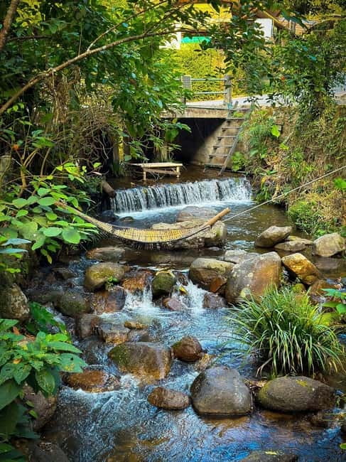 Chiang Mai: The Giant Café & Mae Kampong Village Day Trip - Lunch at a local restaurant