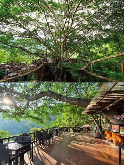 Chiang Mai: The Giant Café & Mae Kampong Village Day Trip - Mae Kampong Waterfall and its forest path