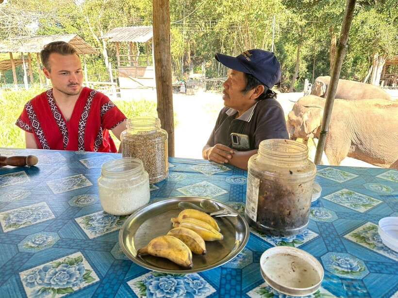 Chiang Mai Untouched Elephant: Nature Walk & Waterfall Trek - A home-cooked lunch with local flavor