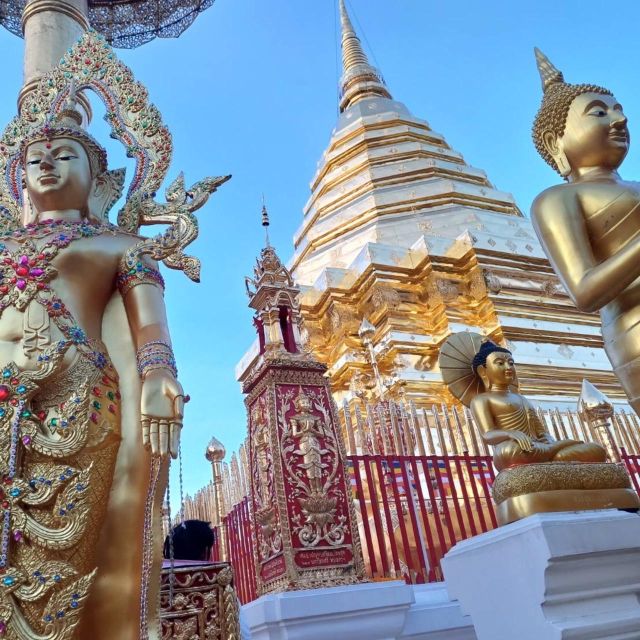 Chiang Mai: Wat Pha Lat & Wat Phra That Doi Suthep Tour - Chiang Mai lights up below you